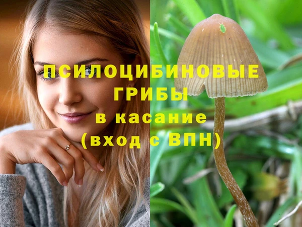 Альфа ПВП Горняк