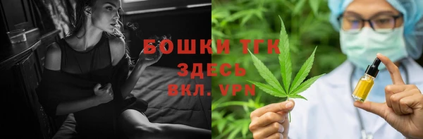 Альфа ПВП Горняк