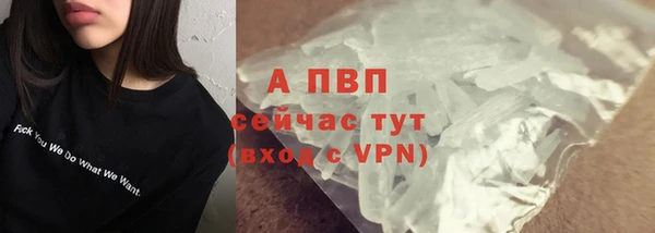 Альфа ПВП Горняк