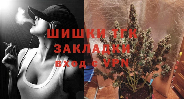 гидра Тында