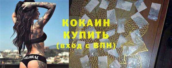 Альфа ПВП Горняк