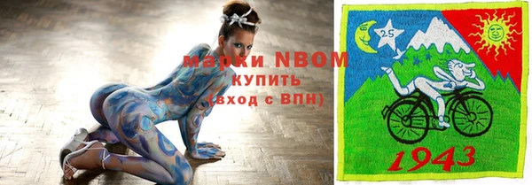 Альфа ПВП Горняк