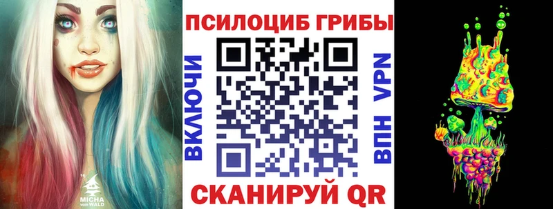 Галлюциногенные грибы Psilocybine cubensis Мезень